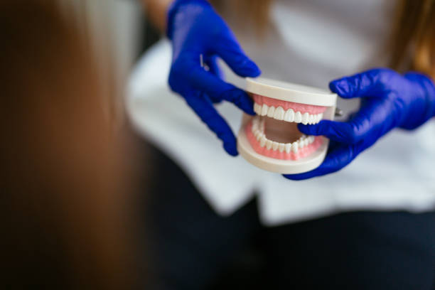 Best Root Canal Treatment  in Holland, OH